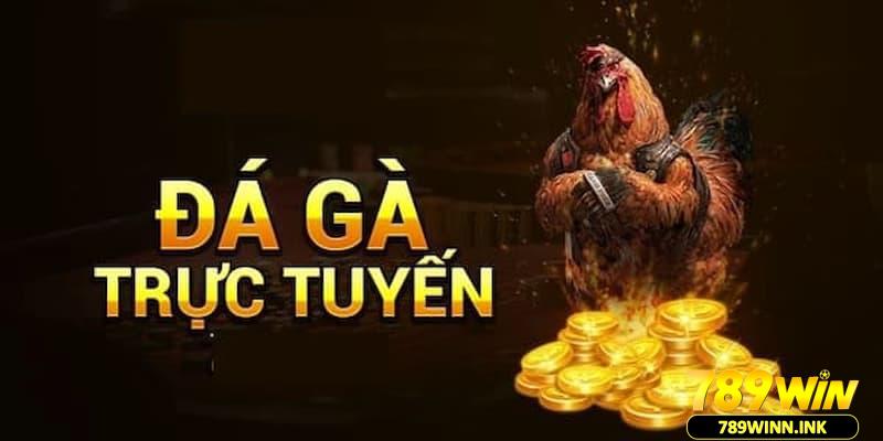 Lần lượt 3 trình tự diễn ra của một trận đá gà online